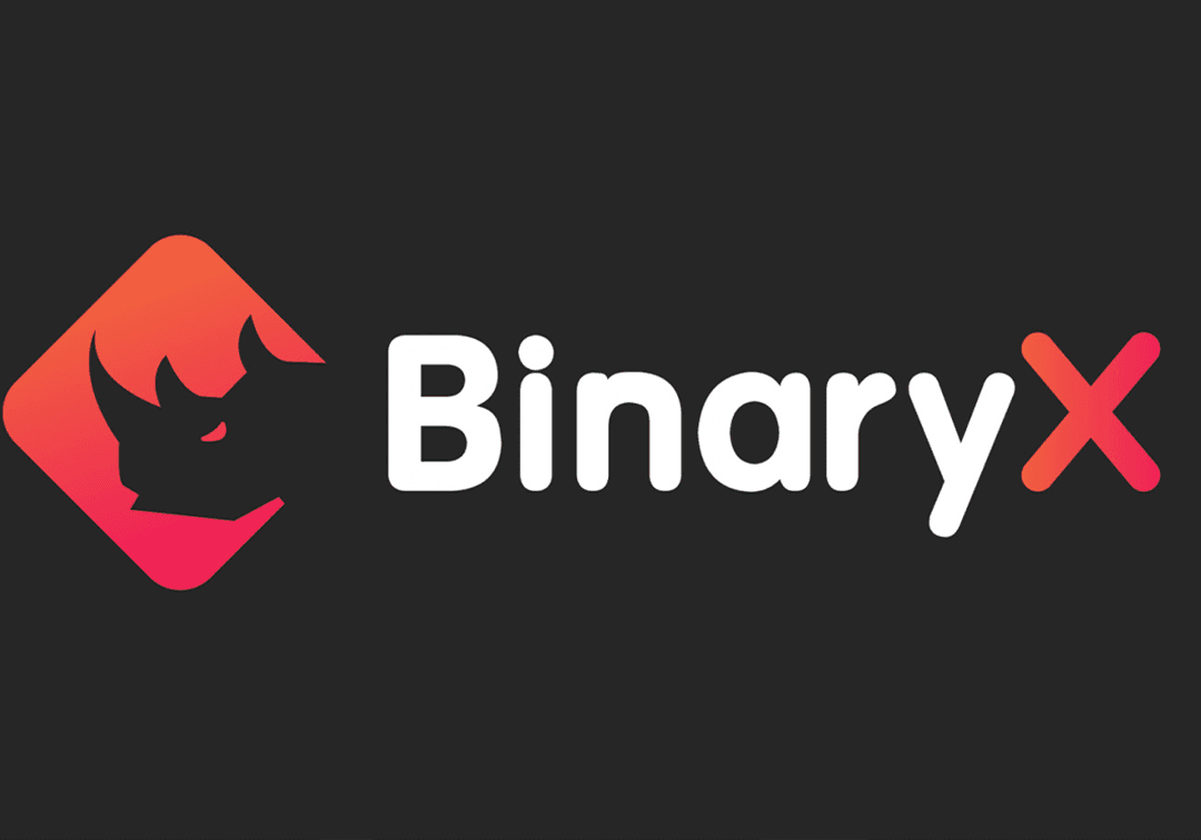 BinaryX